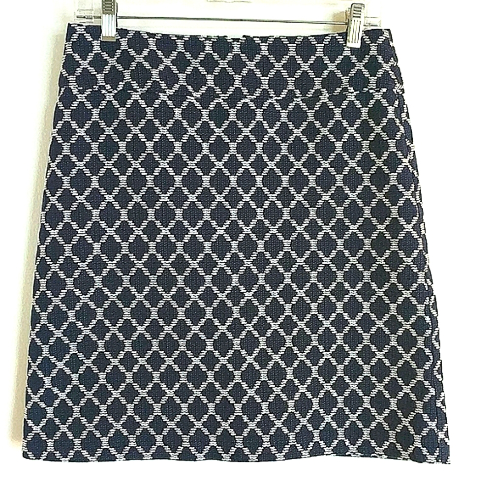 Talbots blue and white skirt with lining